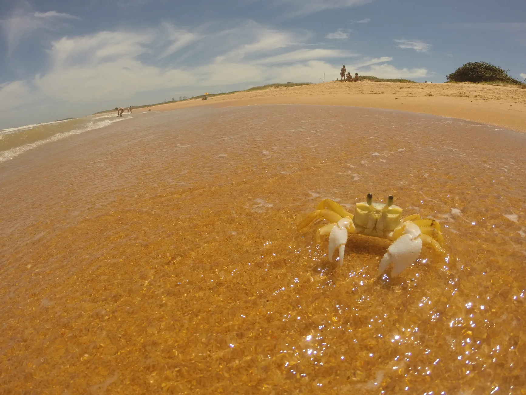 Praia de Aracruz com um caranguejo em primeiro plano